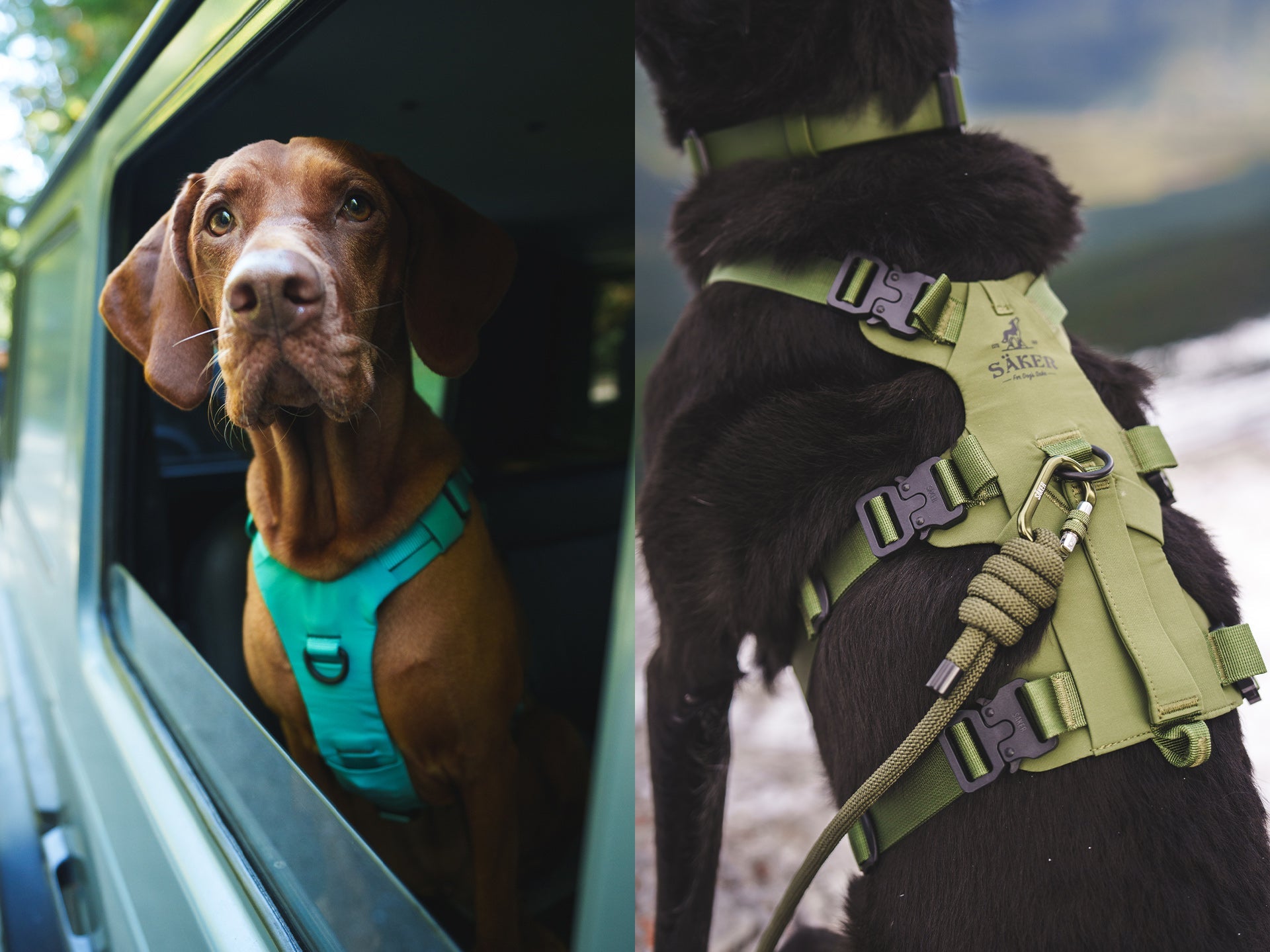 Split image with Bomber harness on the left and muse harness on the right