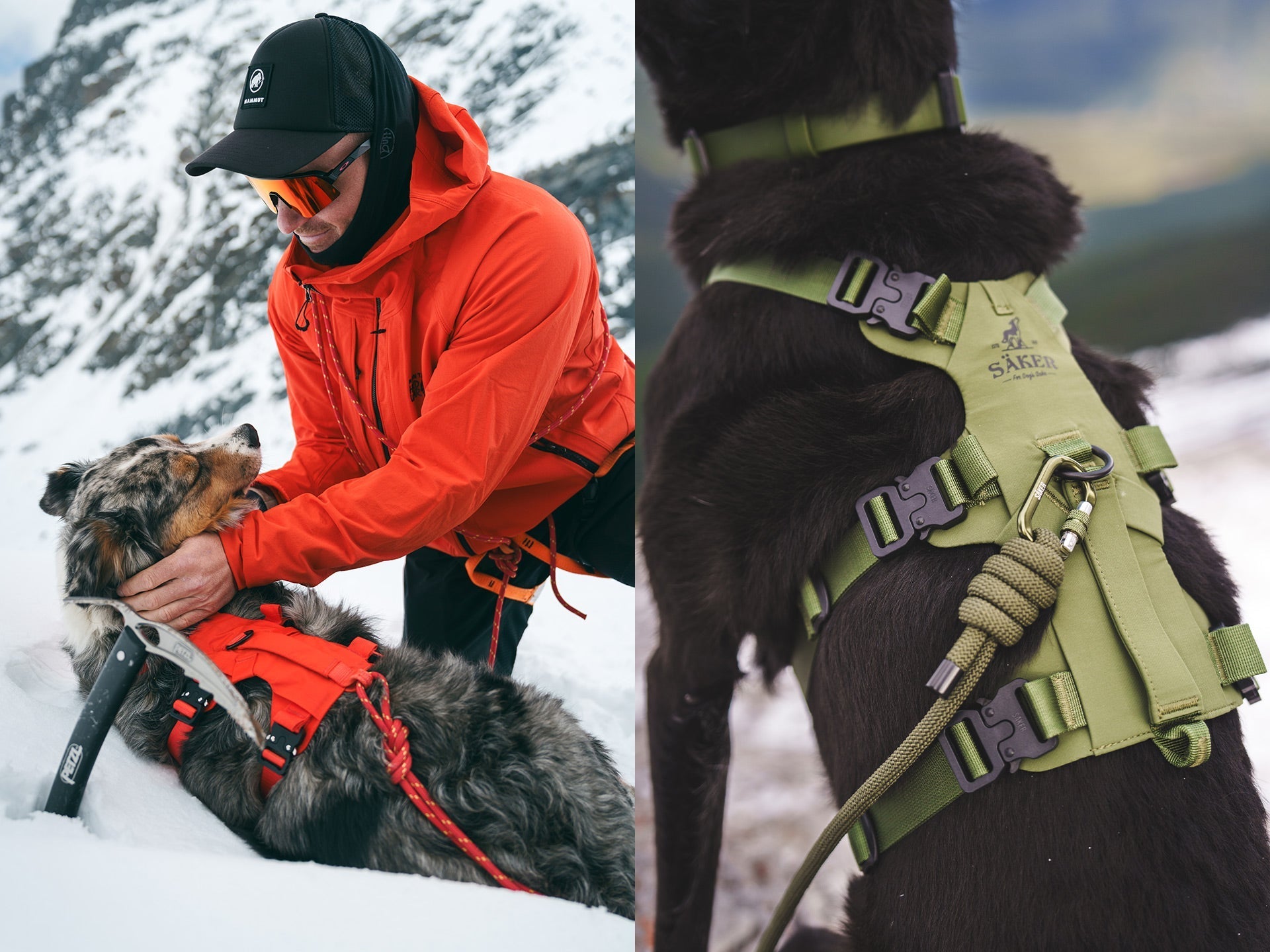 Comparing the key differences between the Lander™ harness and the Muse™ harness
