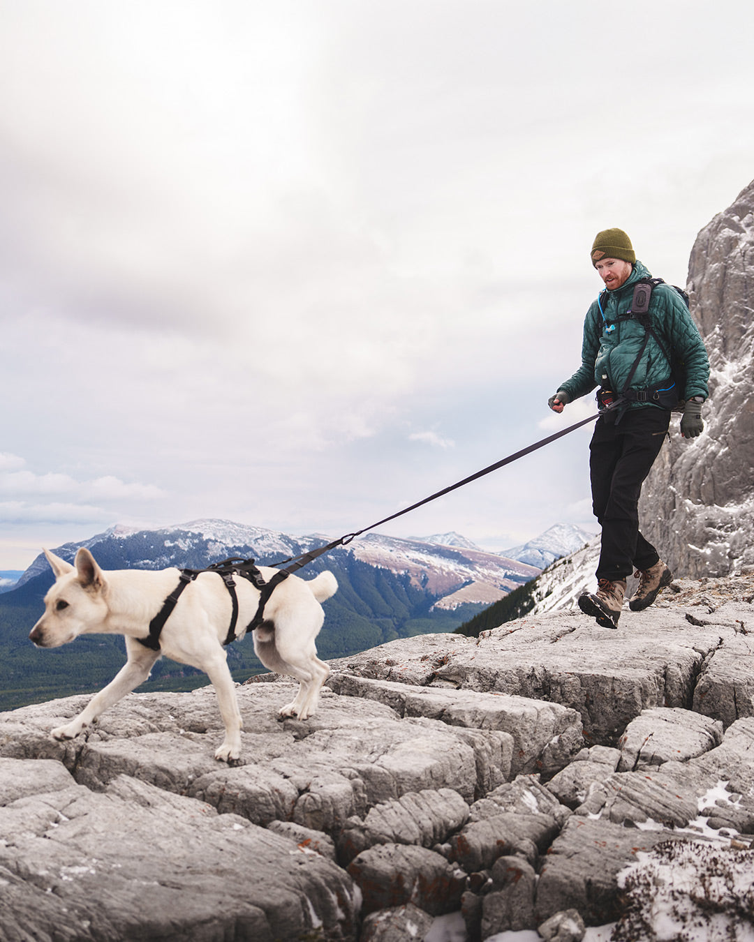 Man running at the summit with his dog wearing the Black Muse harness with Traction 001 accessory
