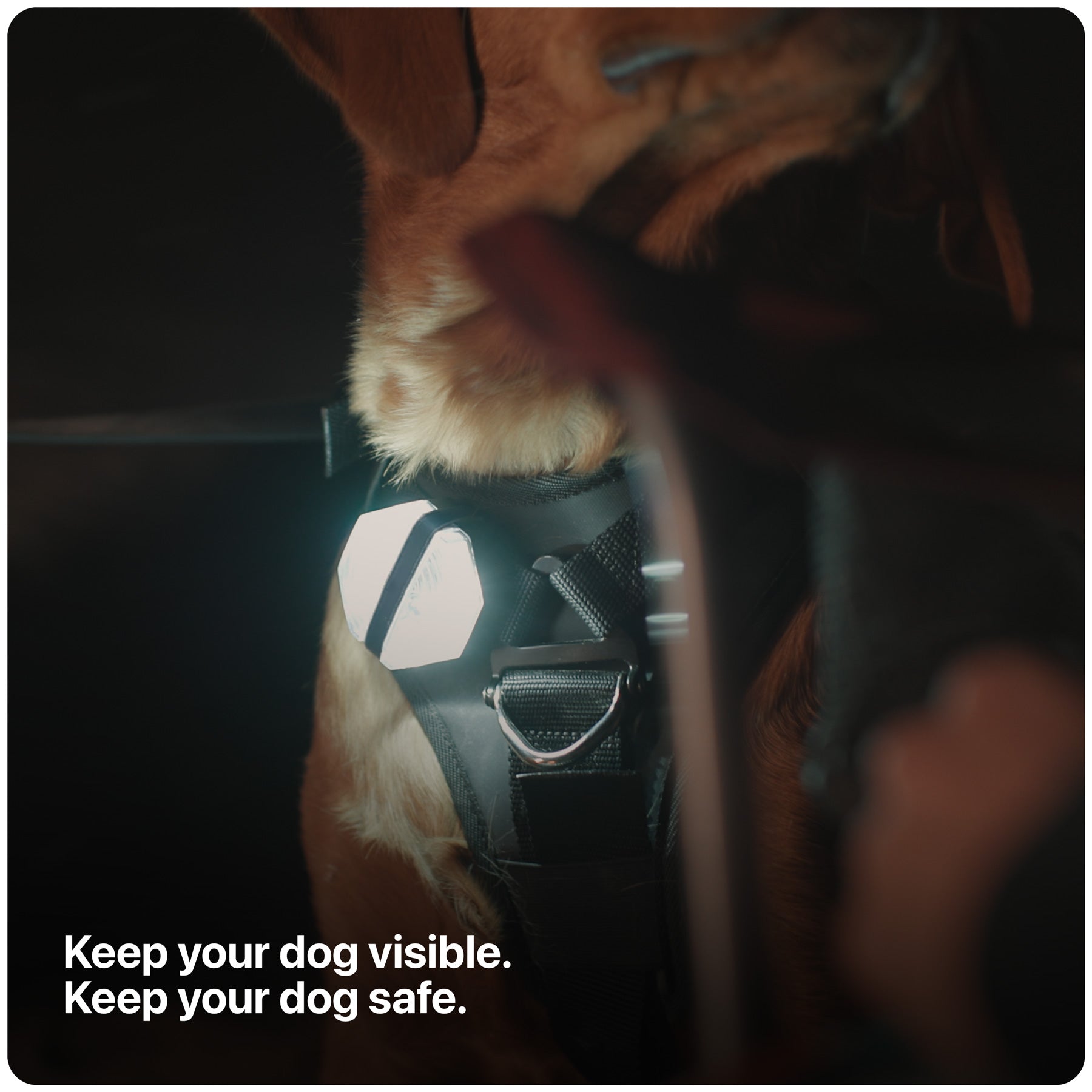 PitchBlack® Safety Light 2.0