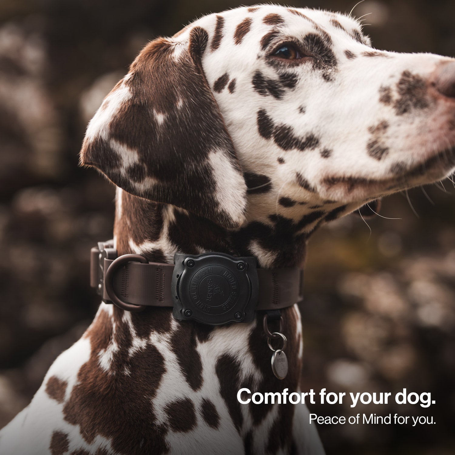 Rodeo™ AirTag Holder
