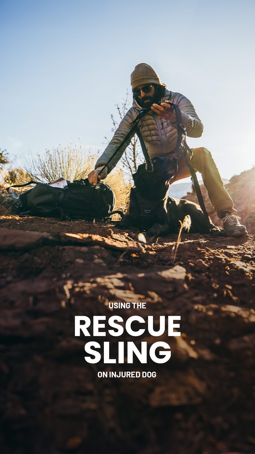 man installing the rescue sling from saker on his injured dog