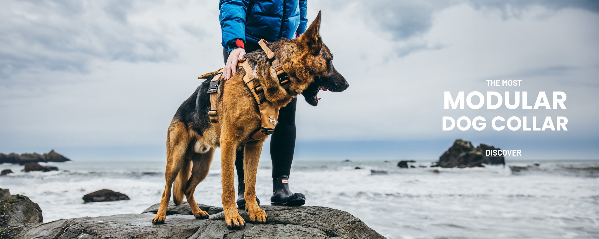 woman standing on rock with her gsd wearing the canyon collar in sandstorm tan