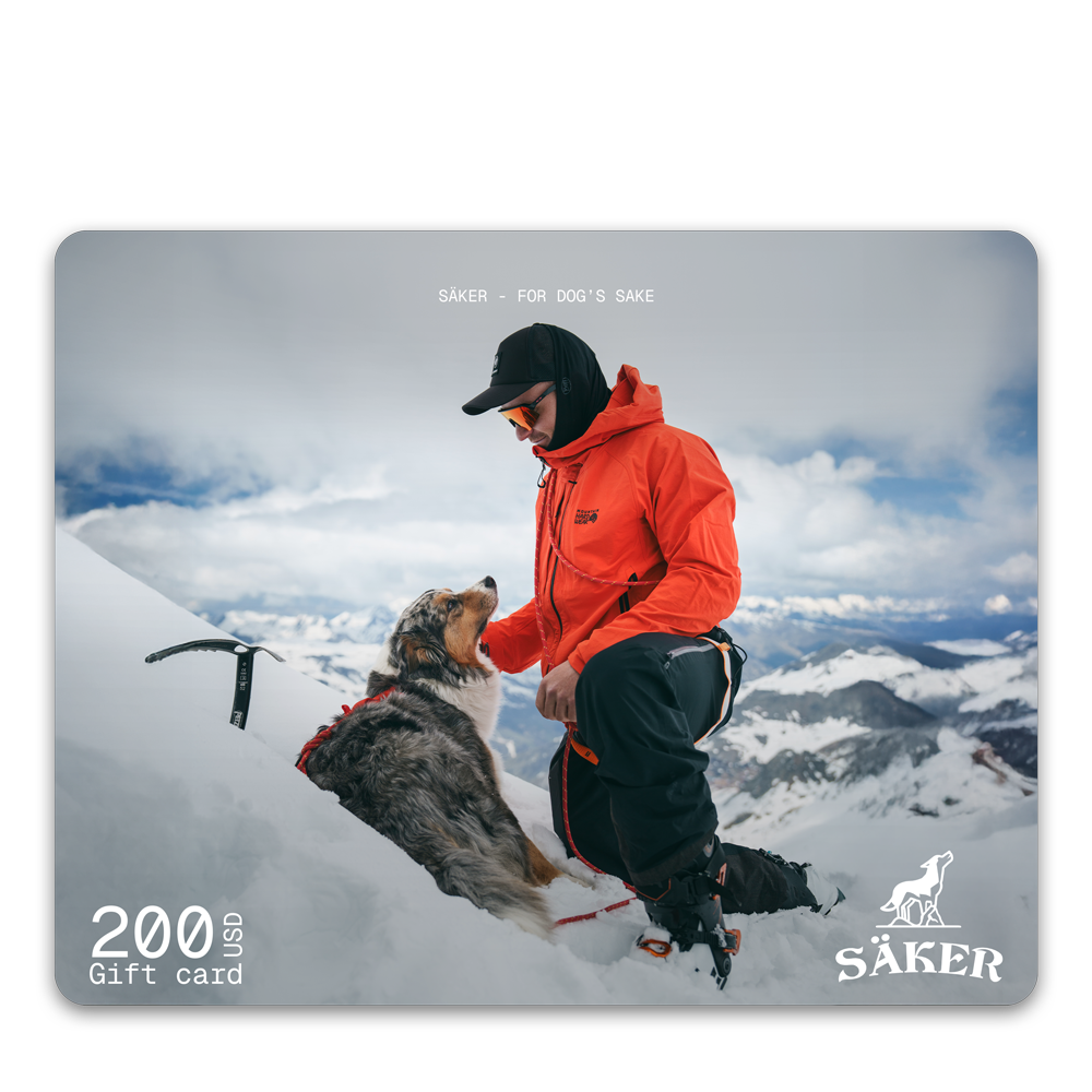 Säker Gift Card - 200