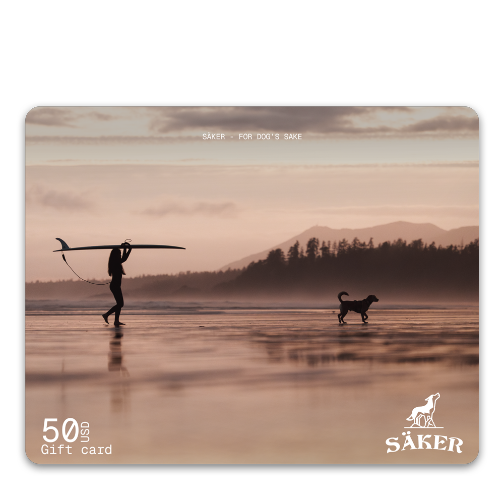 Säker Gift Card - 50