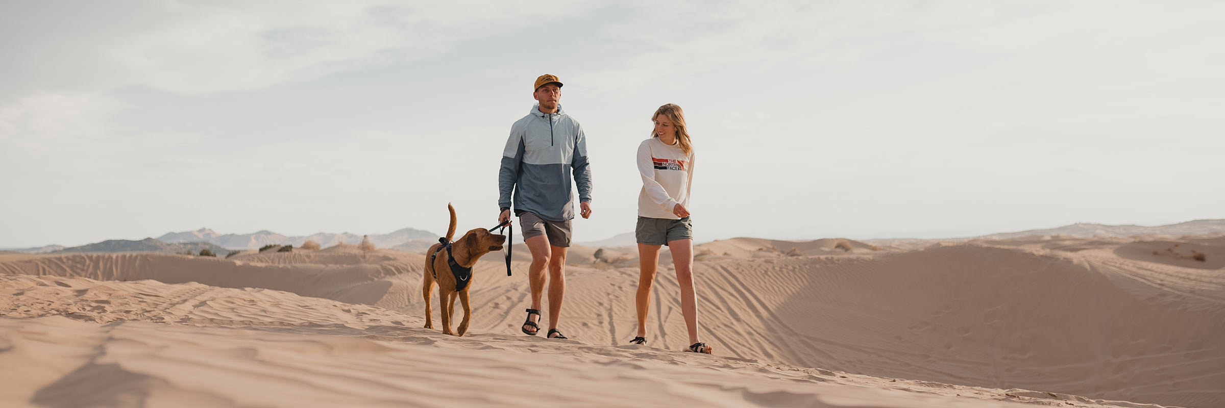 couple walking their labrador in the desert with the ascension harness and the sentiero dog leash