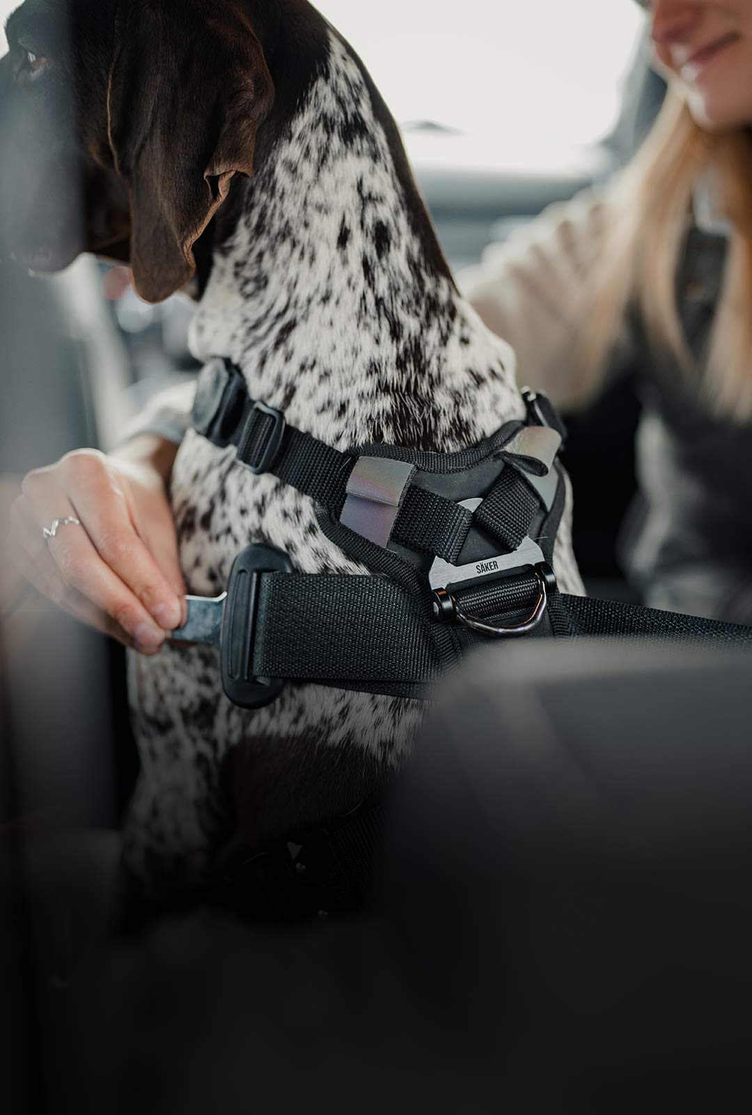 woman passing seat belt through the back of ascension harness in the car
