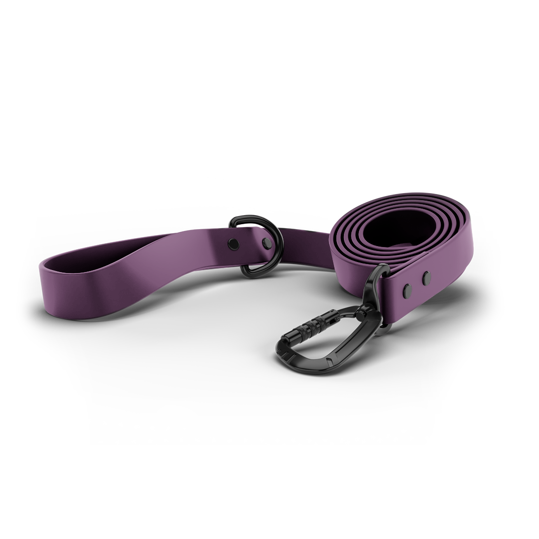 Fashion purple dog leash