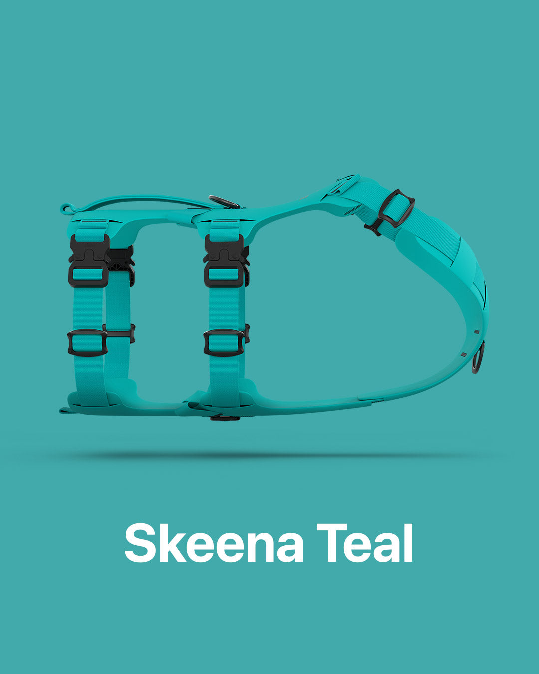Picture of the skeena teal Muse harness on teal background