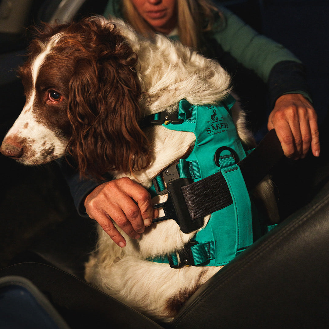 Picture of woman passing car seat belt through the top handle of the Lander harness