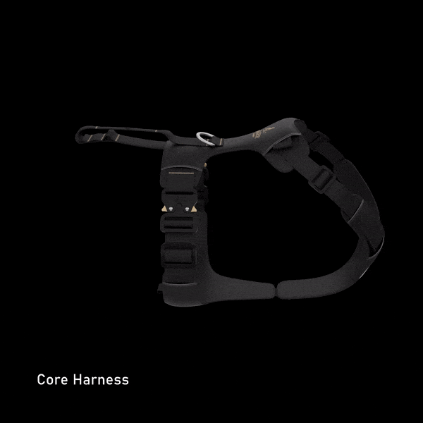 Animation of the Canyon Pro Core, Extended and Dog Pack