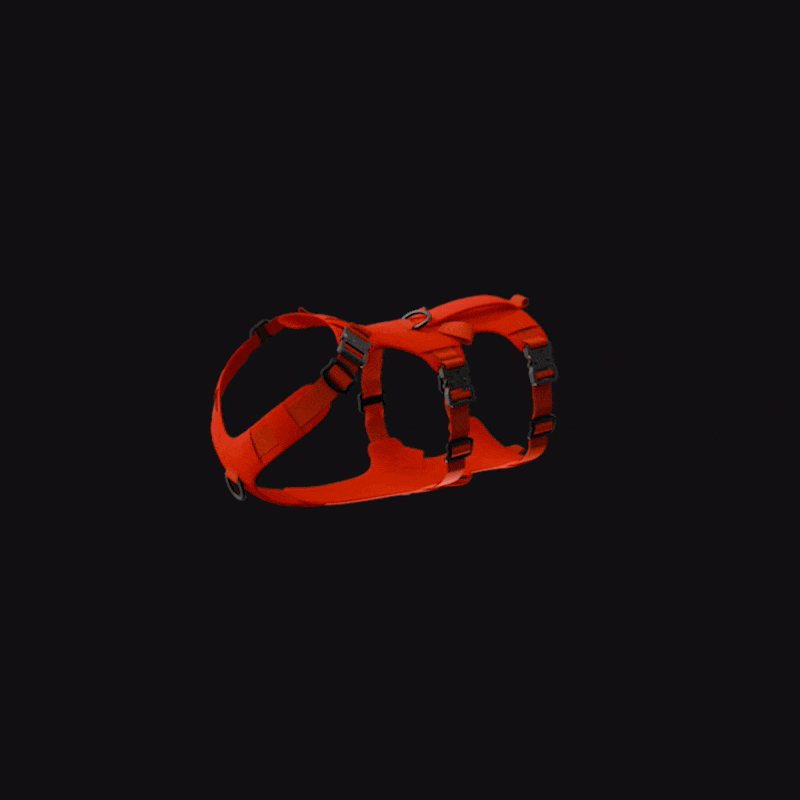 Animation of the Lander harness with different add-ons