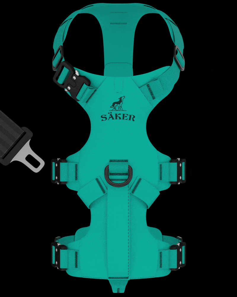 Animation of the car seat belt being passed through the top handle of the Lander harness