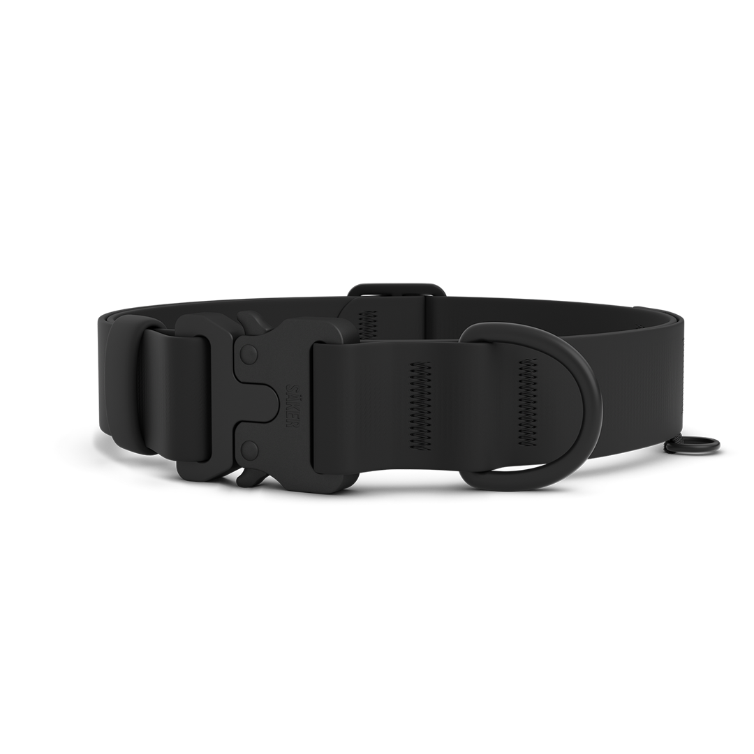 Main picture of the new Kelp collar with one slot male buckle in Black