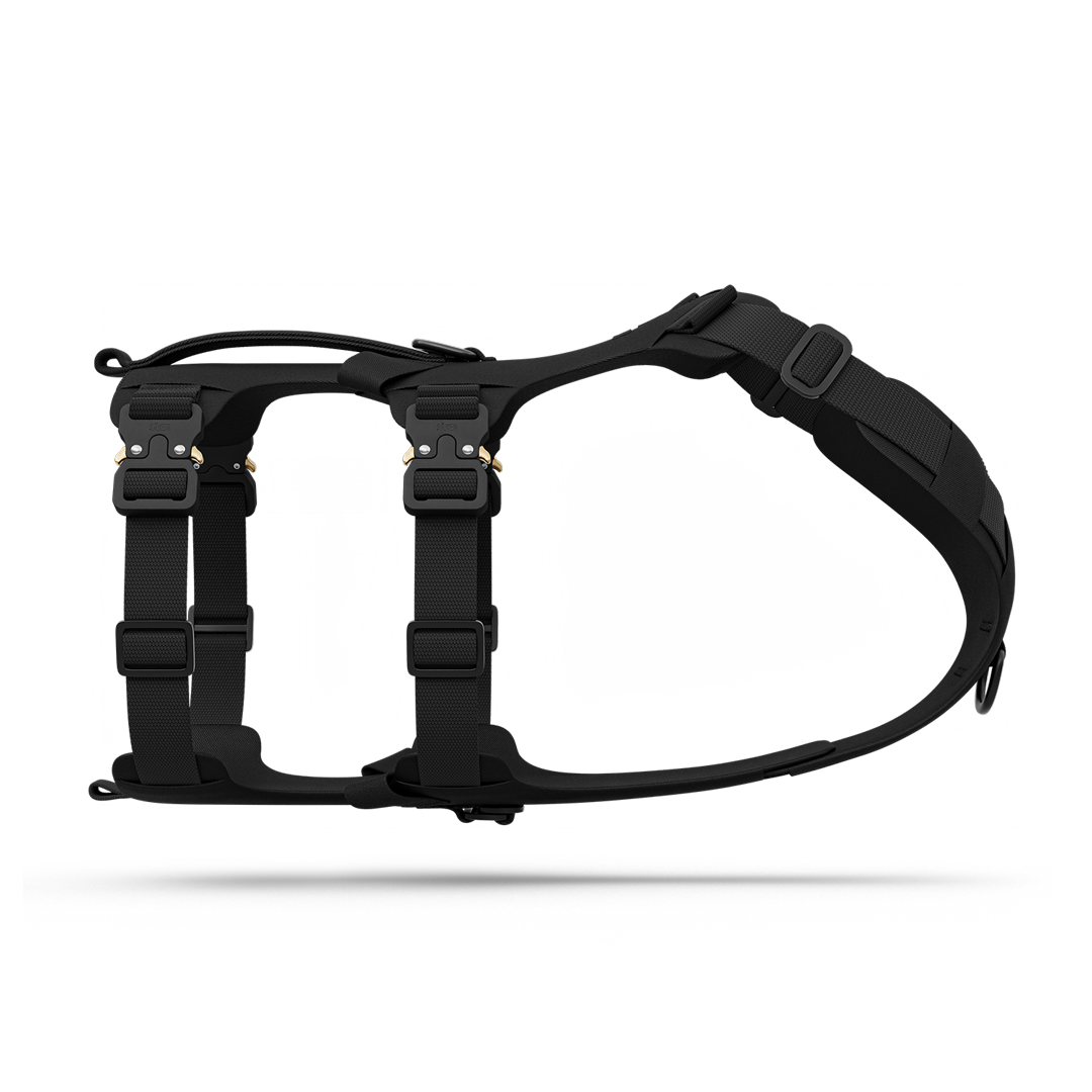 Side picture of the Bomber harness in Black
