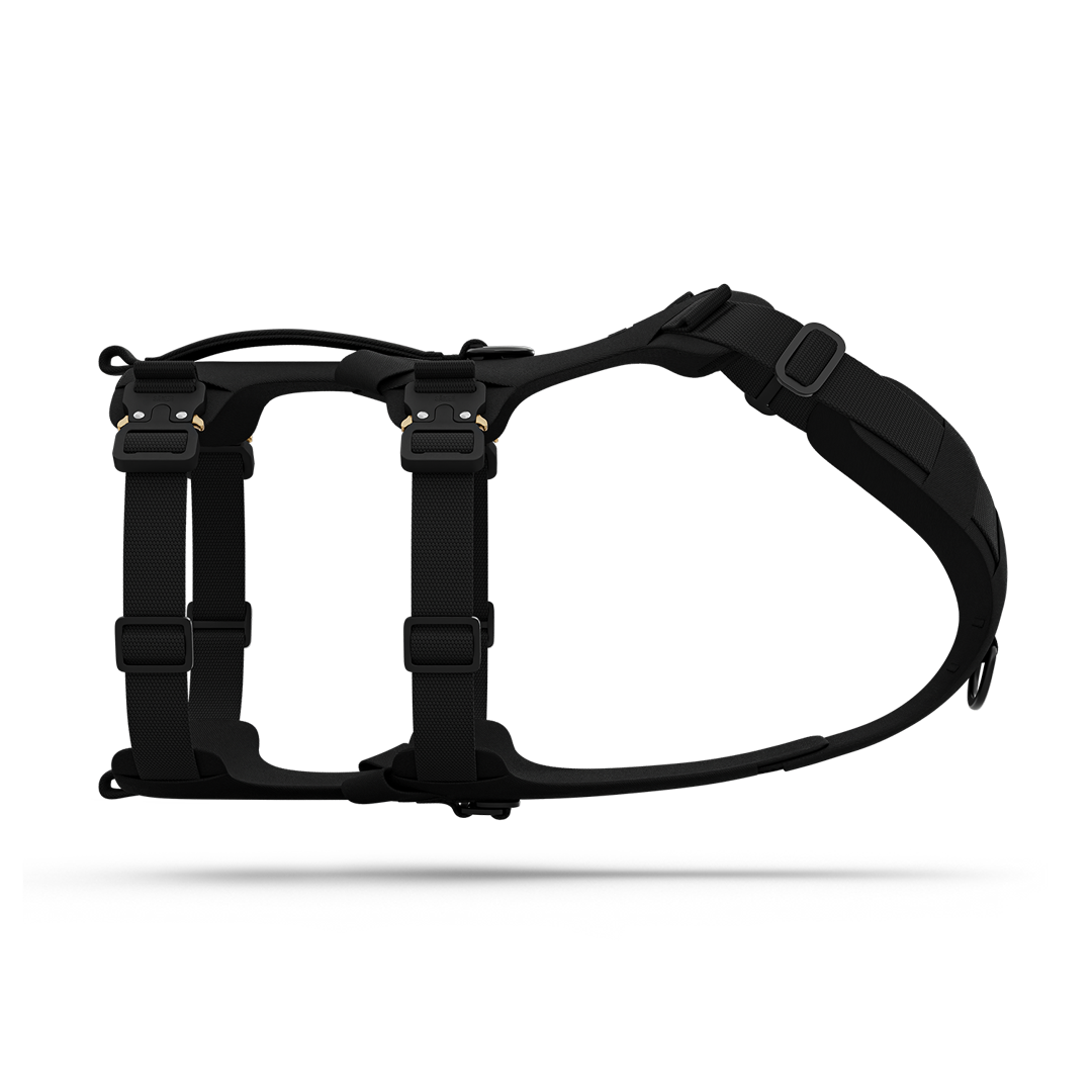 Side view of the Bomber harness in Black