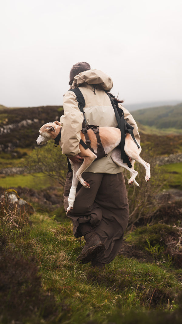 Woman in scotland carrying her whippet with the K911 Rescue Sling