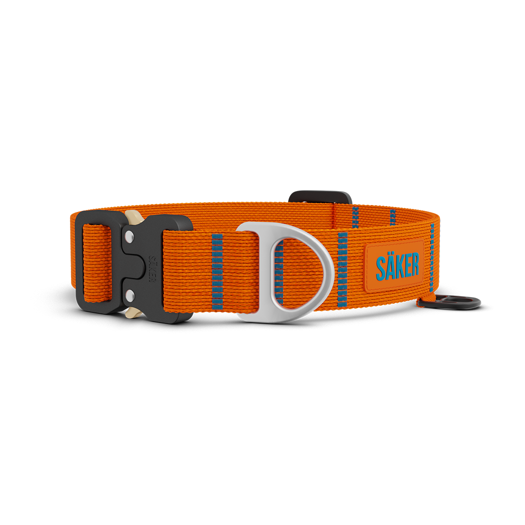 Front view of Canyon Collar in Outback Orange