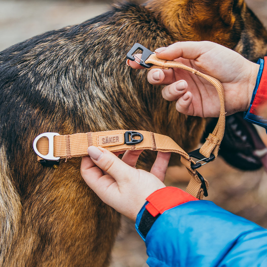 Woman attaching the collar handle accessory onto the Canyon dog collar 