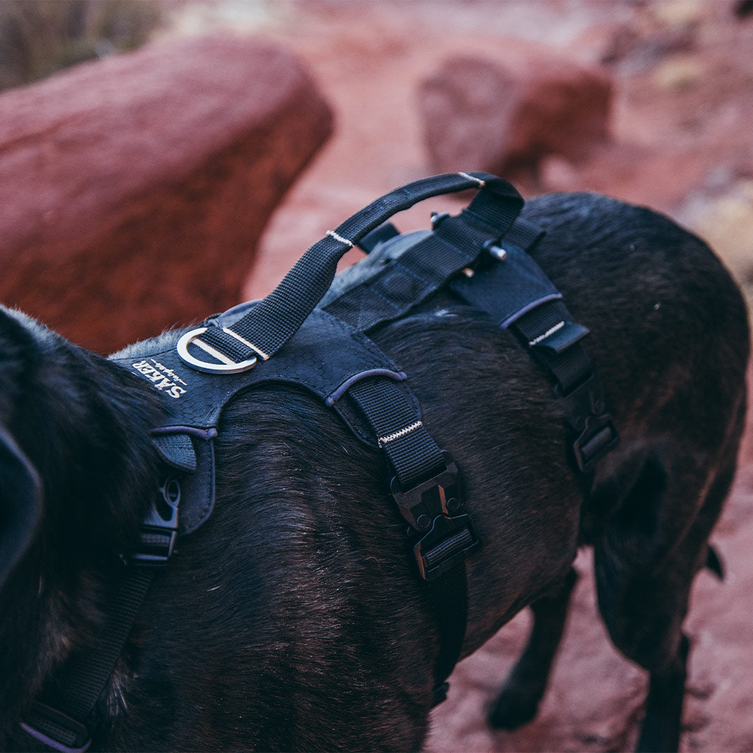 Close view of the top handle of the Canyon extended light in black