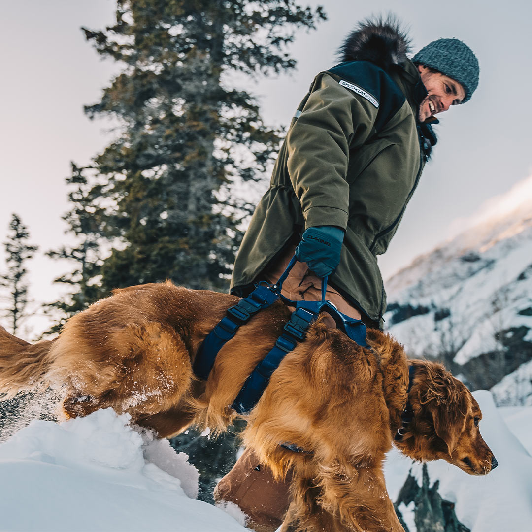 Man lifting his golden retriever in Yukon wearing the Extended Canyon Light