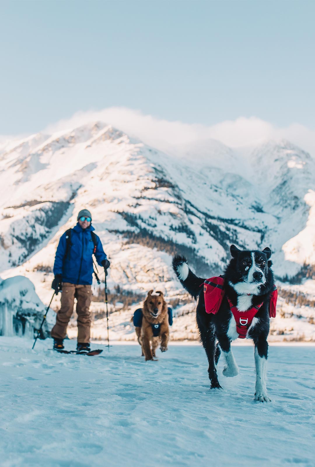 Man touring in yukon with his two dogs wearing the Canyon Light Pack