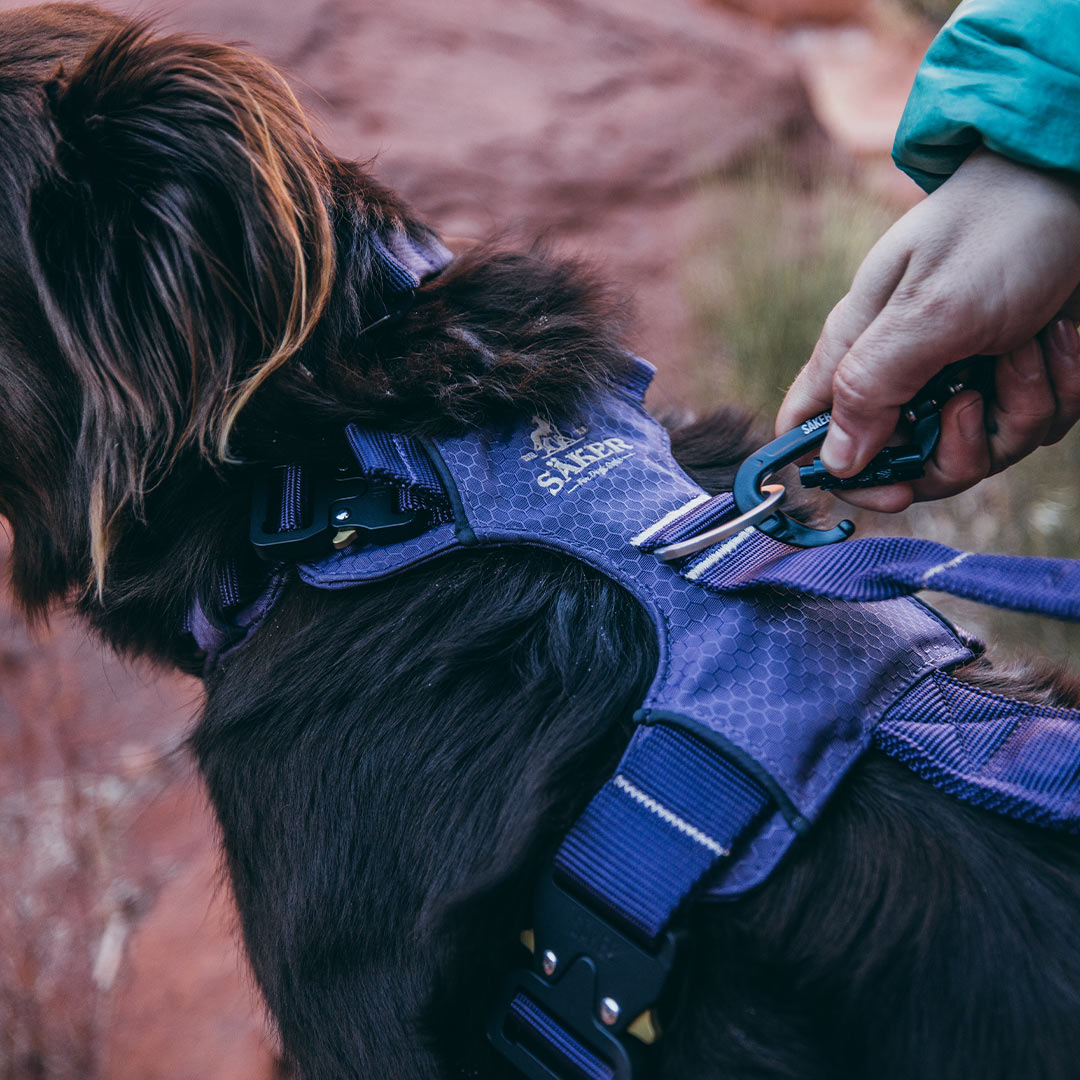 Close view of the neck buckle on the Canyon Pro harness