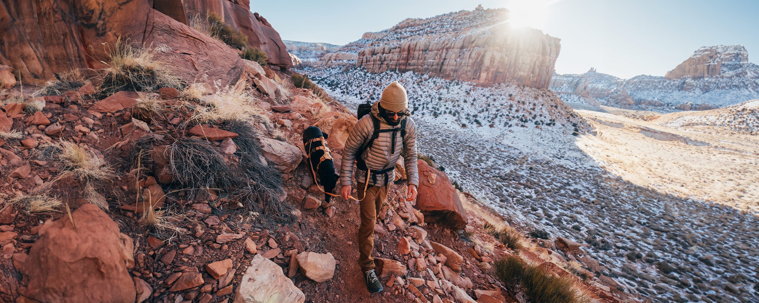 Dog wearing the Canyon pro extended in Sandstorm tan hiking with his human dad