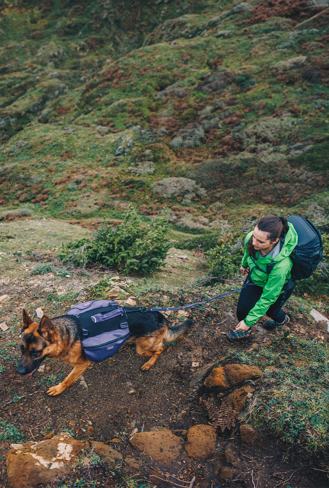 Woman and dog hiking. The dog wears the Canyon Pro Pack in Prairies Purple