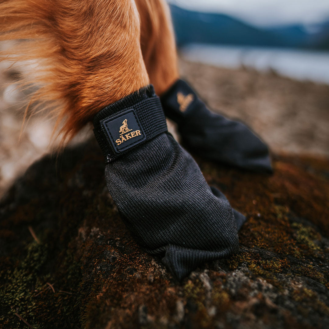 Close view of the Säker Compass boots. Picture from @wildwiththem