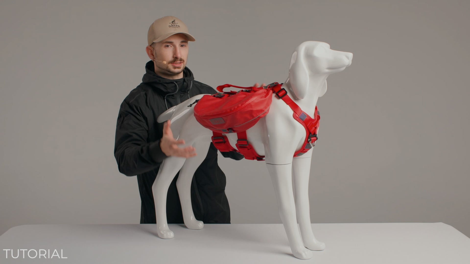 man adjusting the M-L dog pack ascension on dog