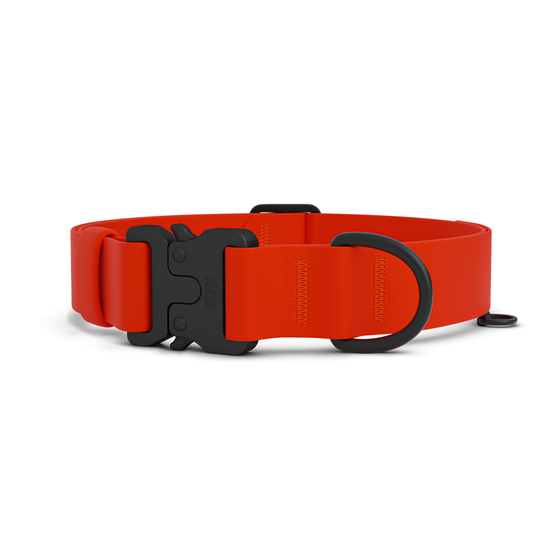 Main picture of the new Kelp collar with one slot male buckle in Alpine Orange