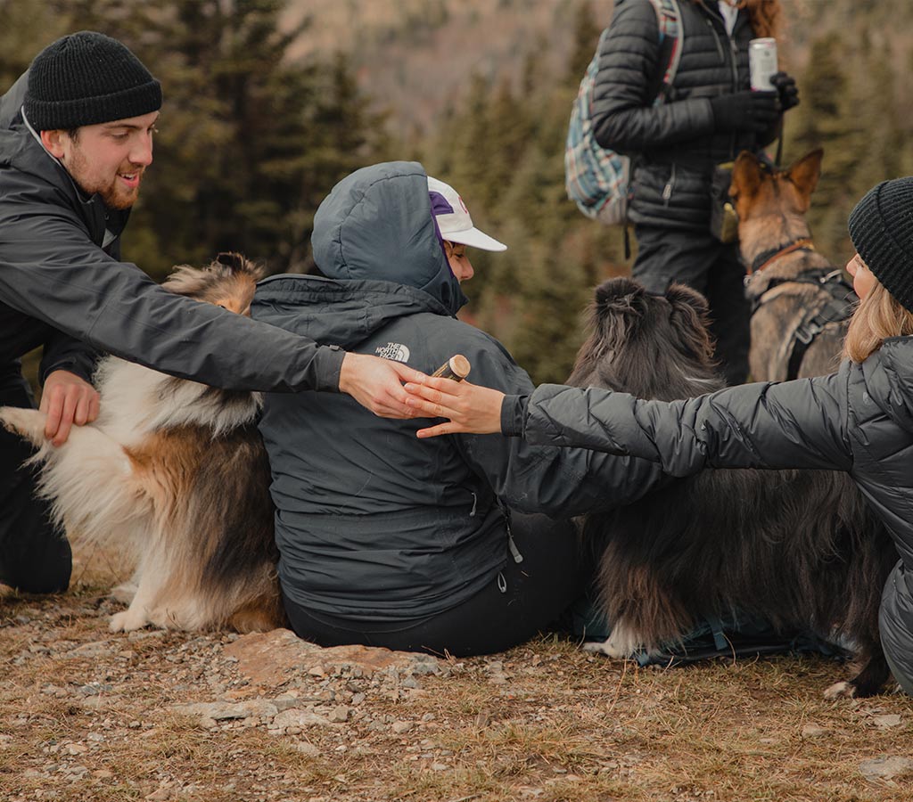 friends passing the säker paw balm after applying it to their dogs' paws at the summit