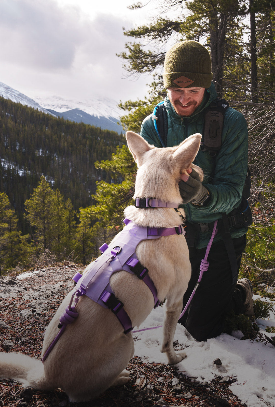Man petting his dog while hiking in banff. The dog wears the Muse harness in Lilas