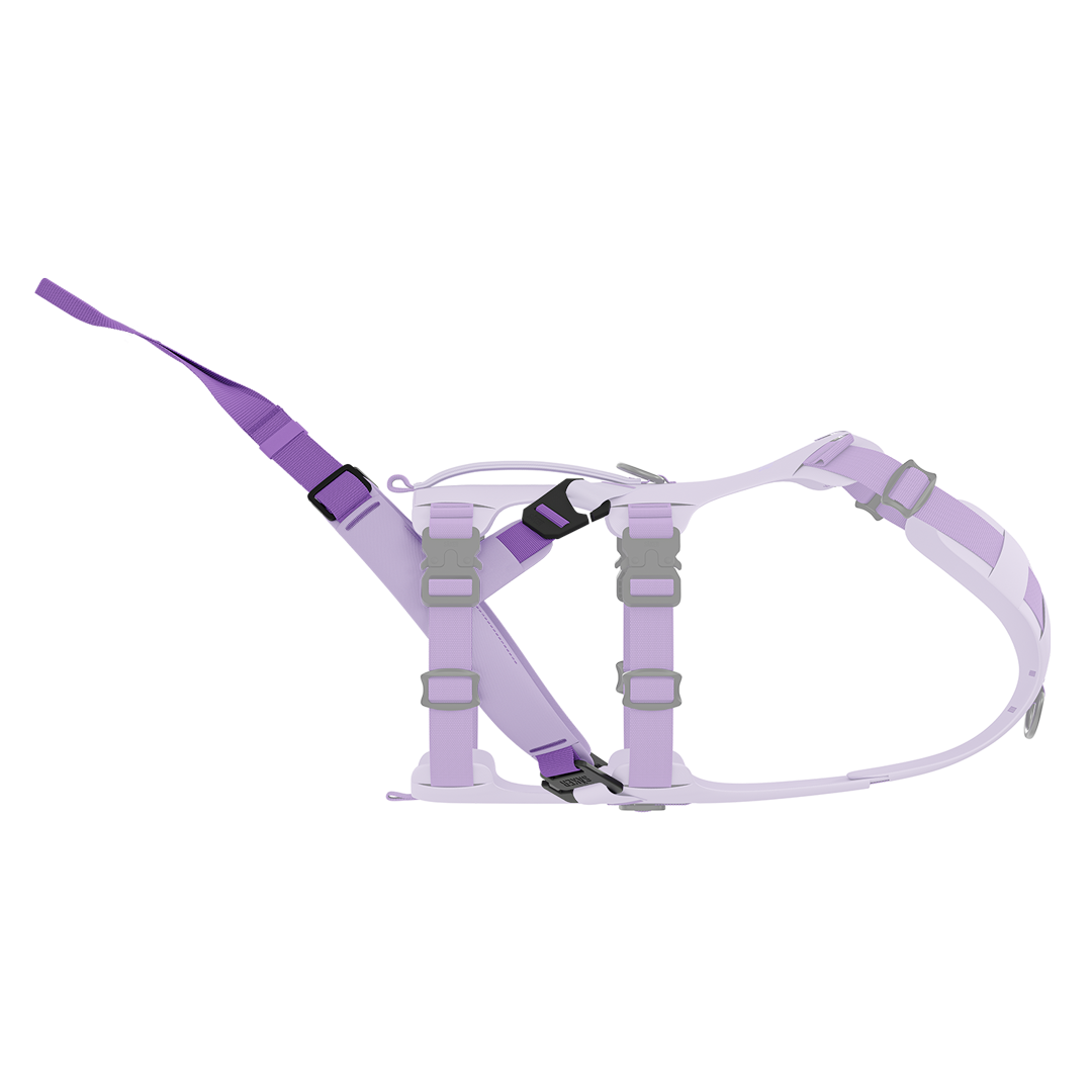 Side view of the Traction attachment 001 in Lilas on the Muse harness