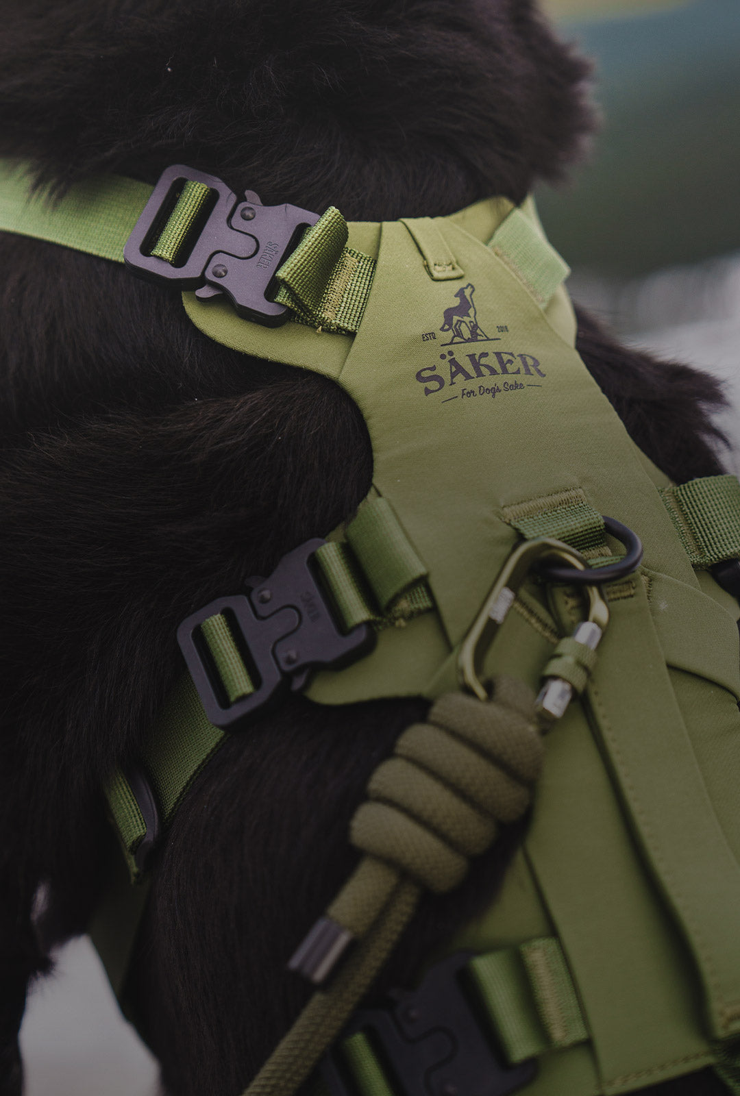 Close view of the back of the Muse harness in trail green color