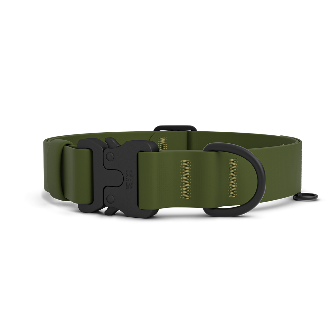 Main picture of the new Kelp collar with one slot male buckle in Trail Green