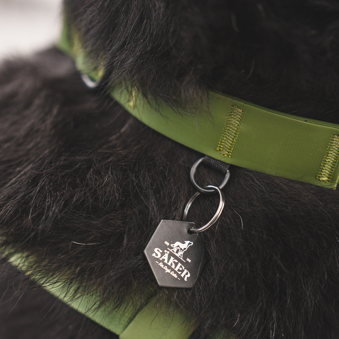 Close view of the Trail Green Kelp collar from Säker