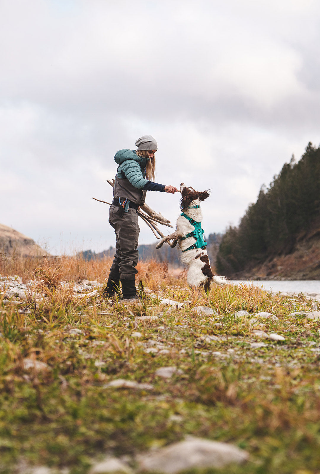 Paula Shearer playing fetch with her dog Willow on the bank of the Bow River. Her dog is wearing the Muse harness in Skeena Teal