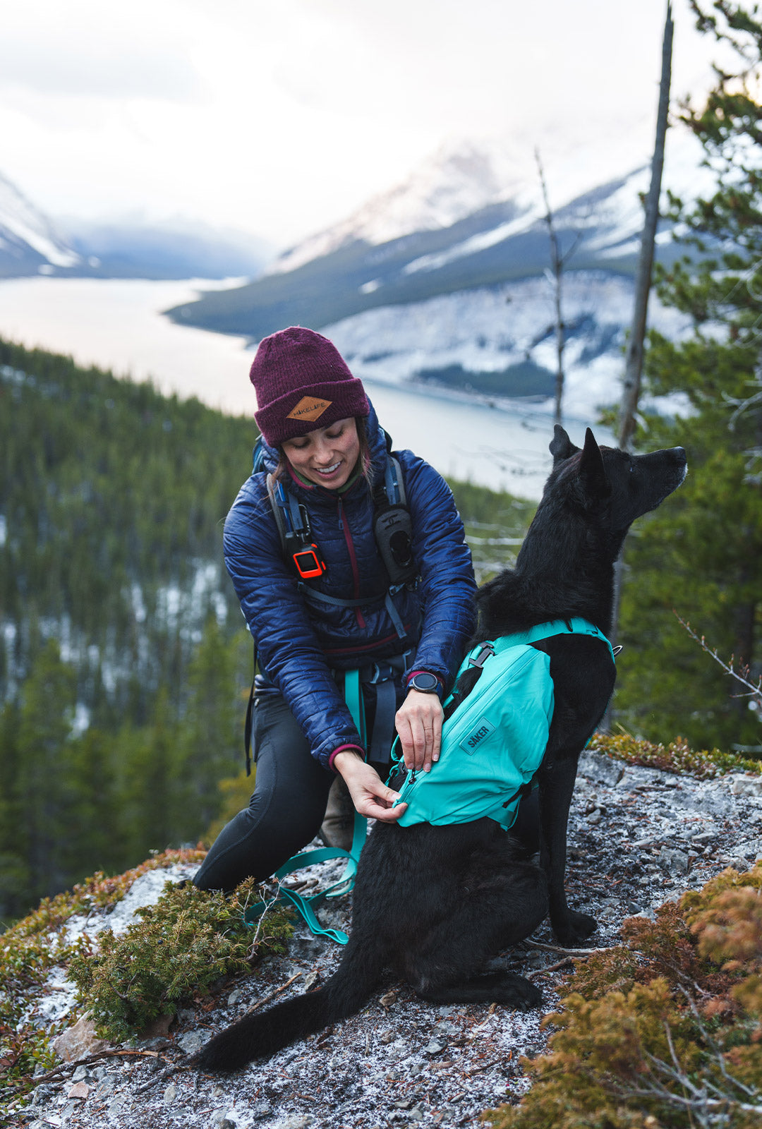 Dog mom installing the Pouches 001 on her dog wearing the Saker Muse harness in Skeena Teal color in Banff