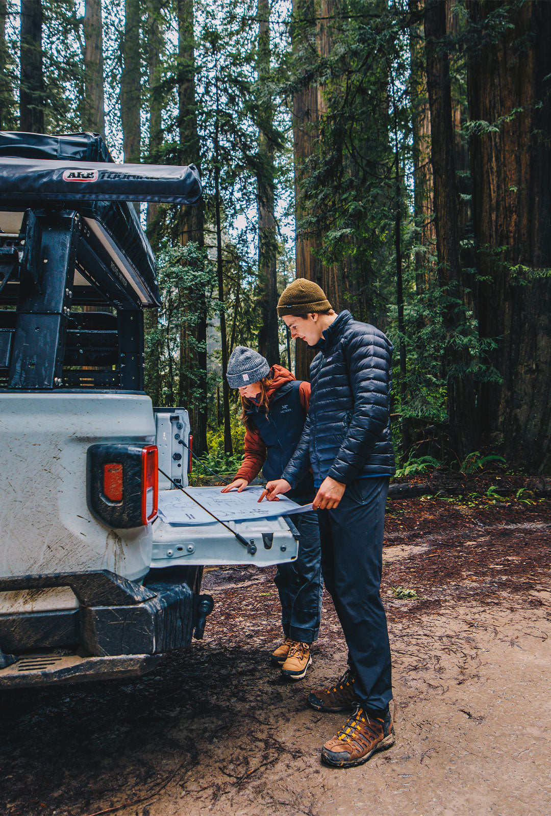 Säker team looking at harness plans in the redwoods