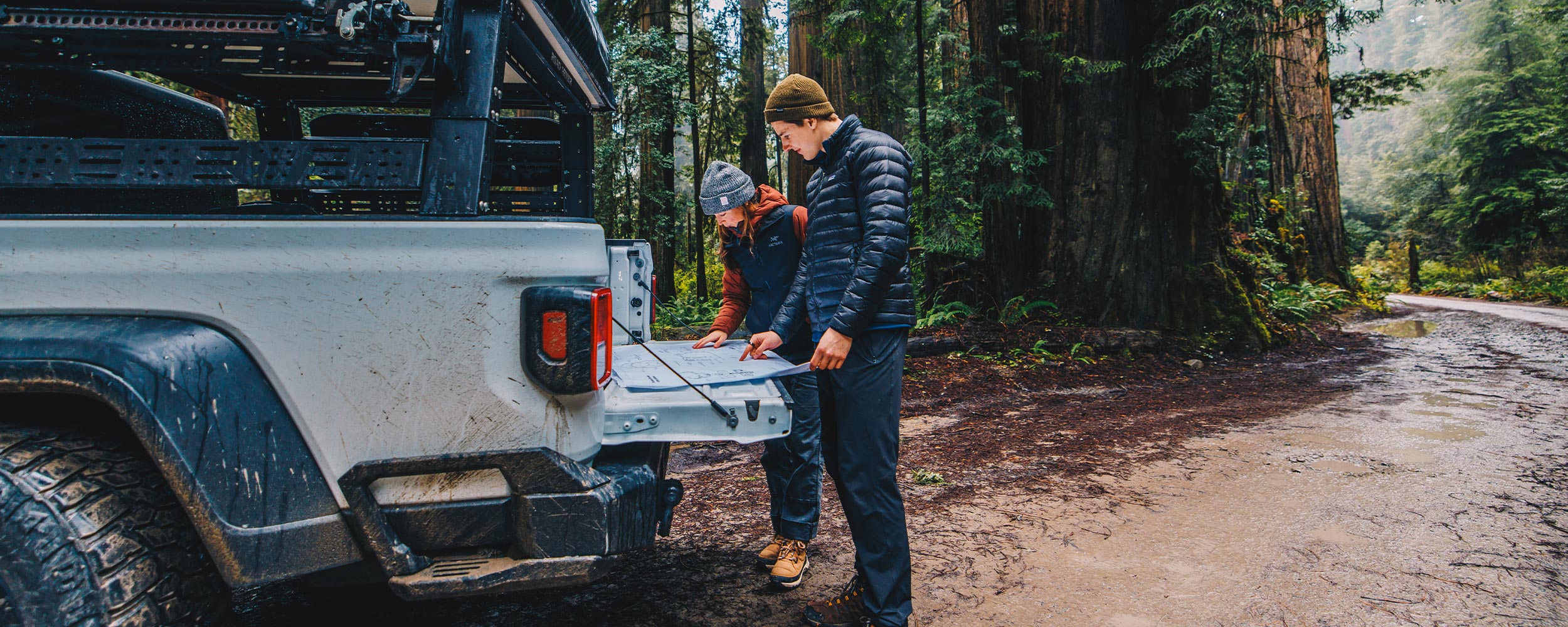 Säker team looking at harness plans in the redwoods