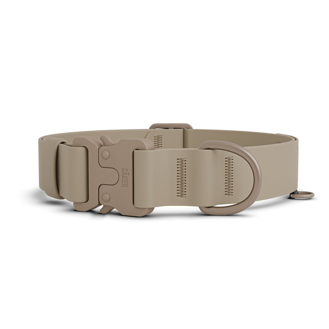 Main picture of the new Kelp collar with one slot male buckle in Color of the Trails
