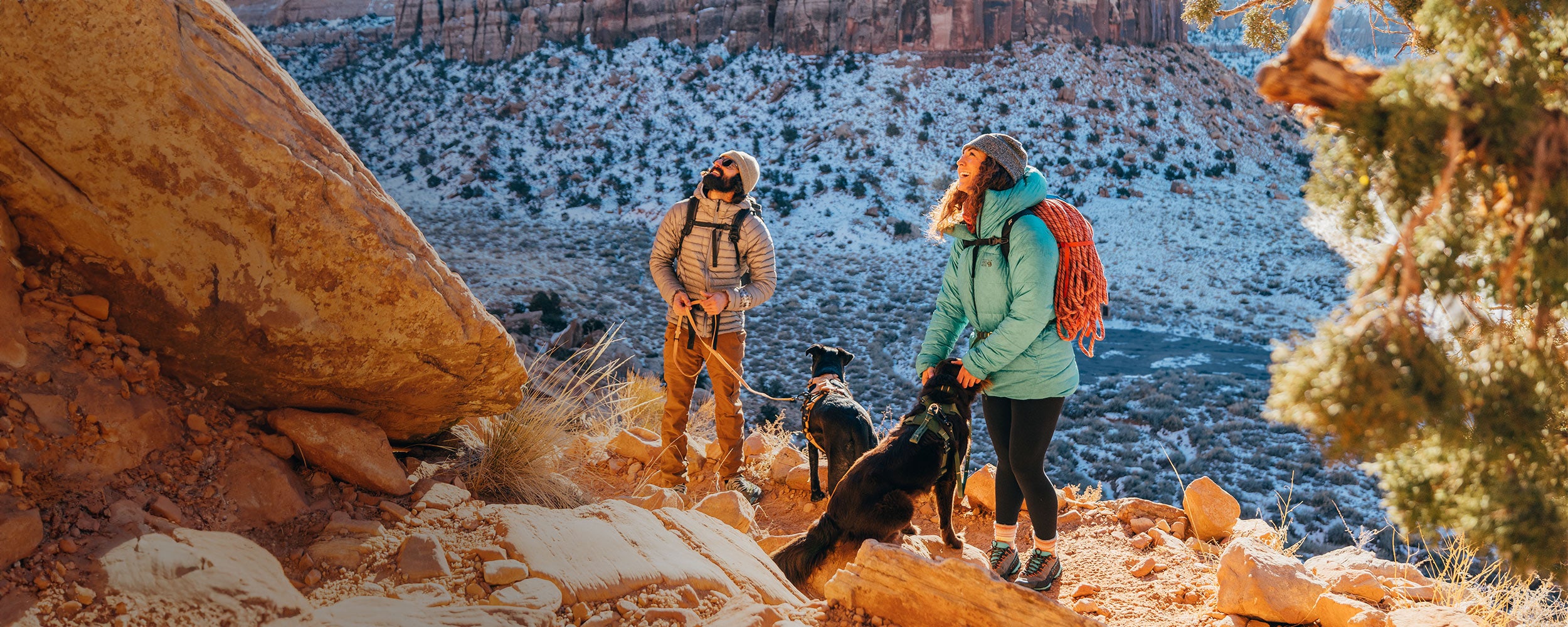 Friend climbers with their dogs wearing canyon harness on the way to the crack