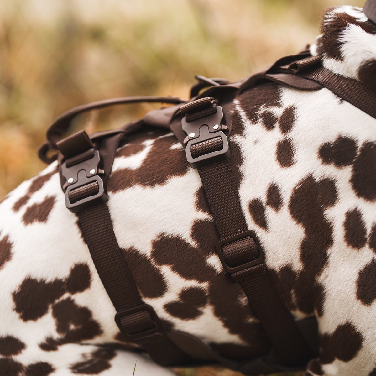 Bomber™ harness
