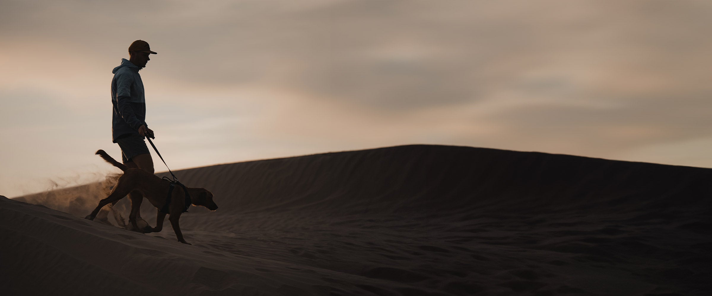 Man walking with his dog in the dunes of the sahara desert