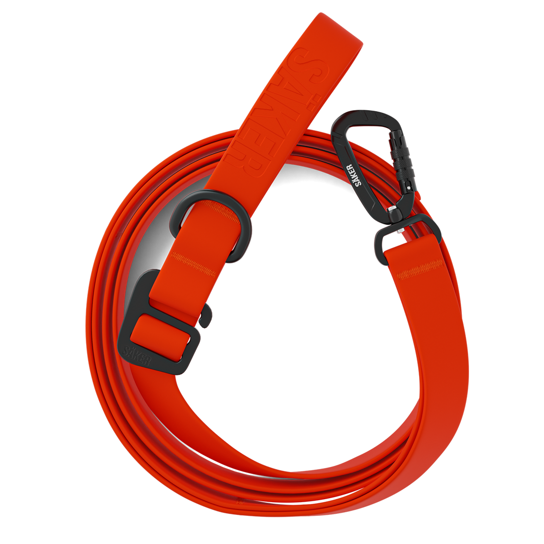 Top view of the Kelp™ leash in Alpine Orange
