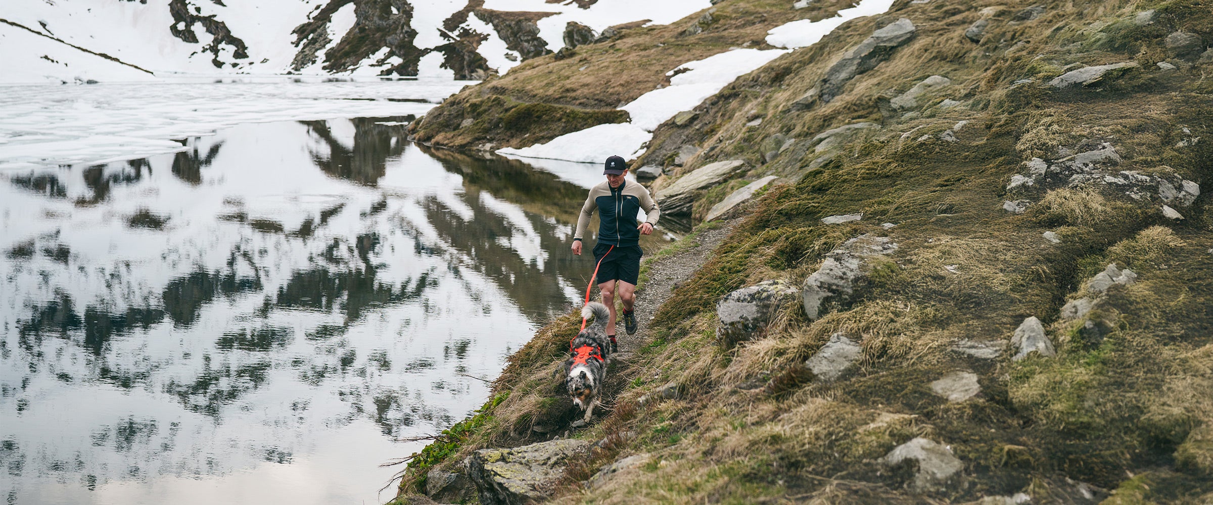 Man running in the Alps with his dog wearing the Lander harness with Traction 001 and Kelp leash, all in Alpine Orange