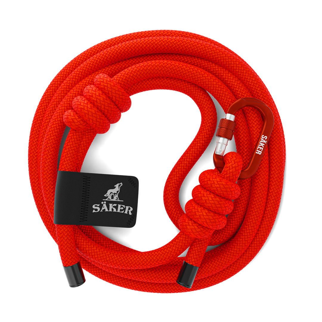 Top view of the Trust™ leash in Alpine Orange