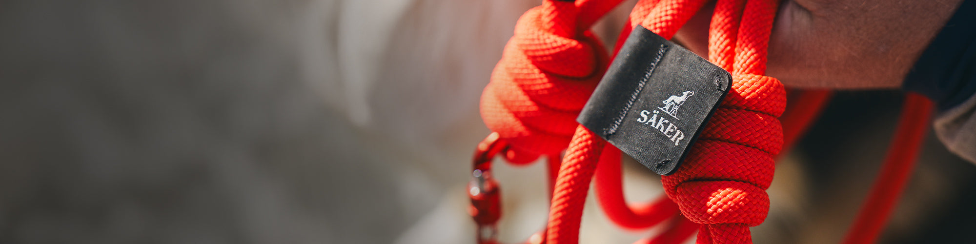 Close view of the trust leash in Alpine Orange